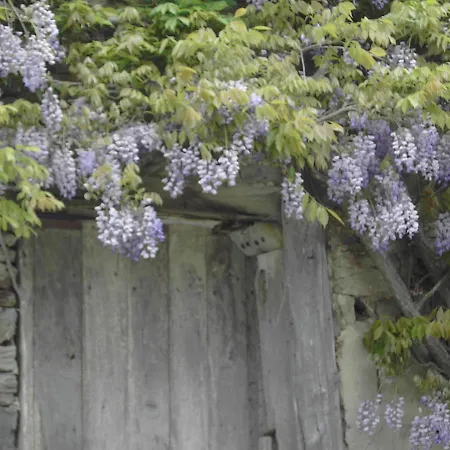 La Bulle En Baie, Proche Mont Saint-michel, Au Calme, Pour 4 Pers * Crollon
