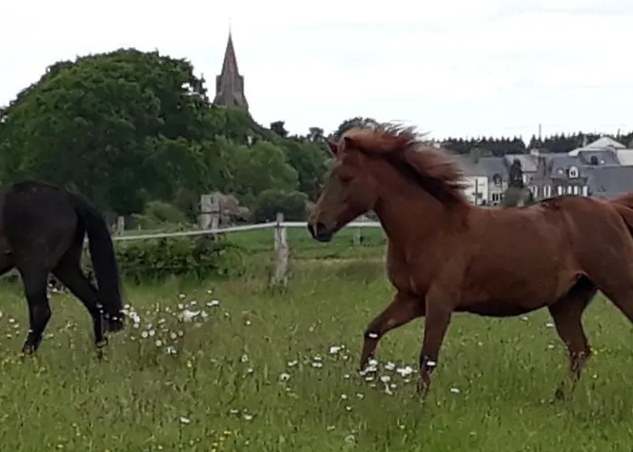 Appartement La Bulle En Baie, Proche Mont Saint-michel, Au Calme, Pour 4 Pers