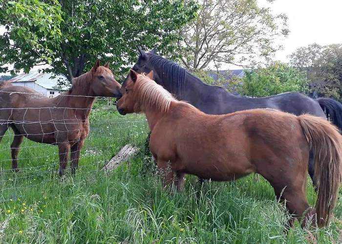 La Bulle En Baie, Proche Mont Saint-michel, Au Calme, Pour 4 Pers * Crollon